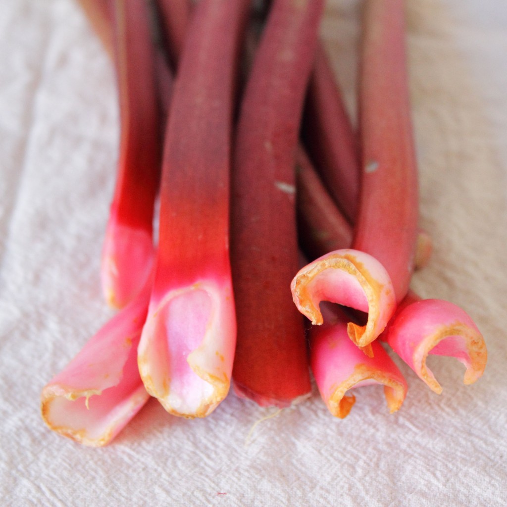 rhubarb