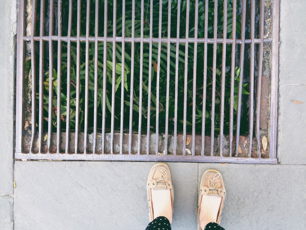 plant-grates-chs