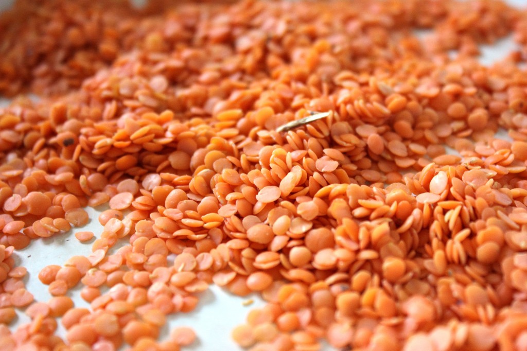 red-lentils