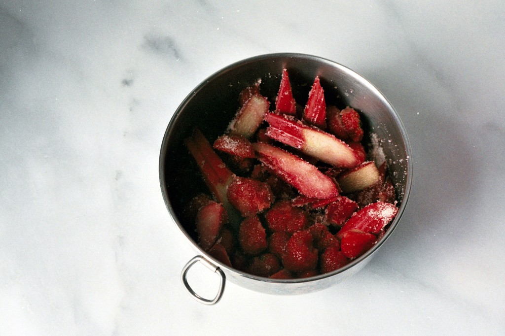 strawberry-rhubarb-panzanella-6