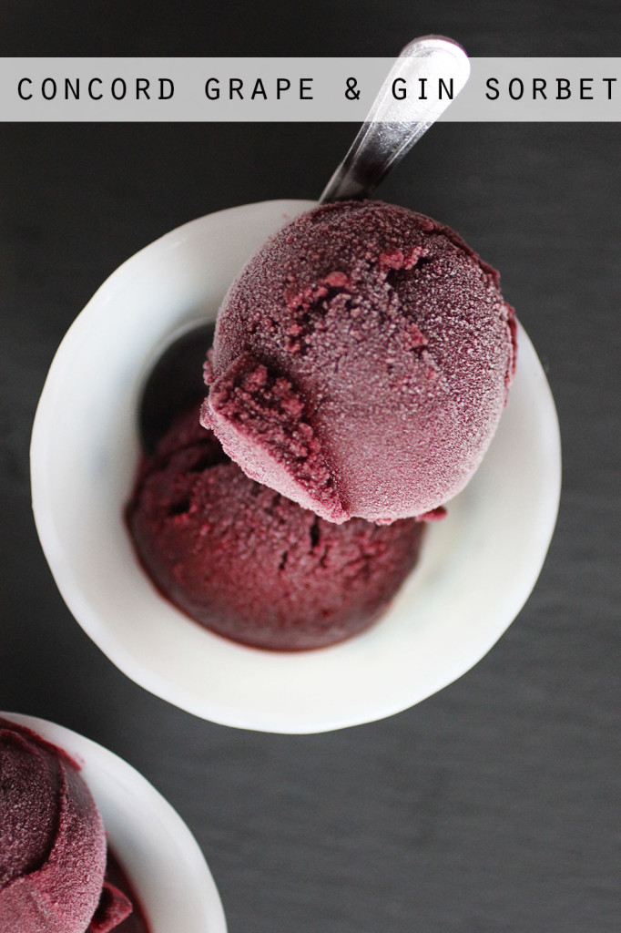 Concord Grape Gin Sorbet || Autumn Makes & Does