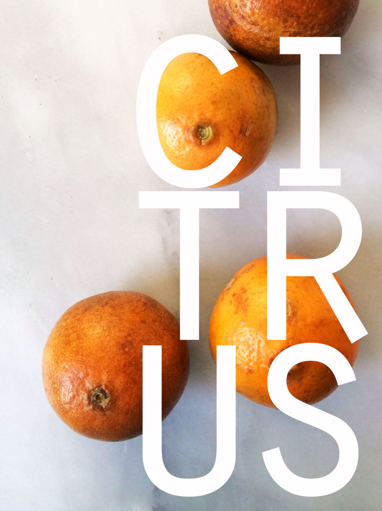 17 citrus recipes that will get you through the slog to spring // Autumn Makes & Does