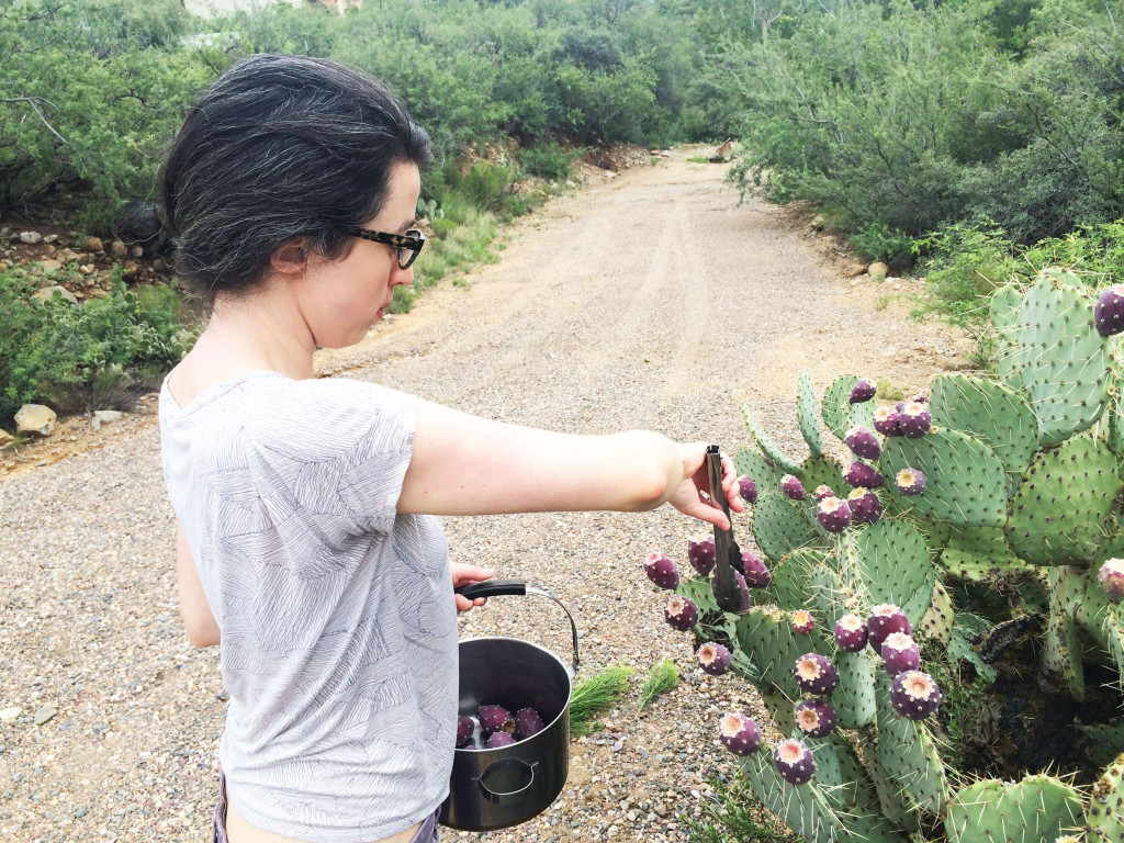 Harvesting and Processing Prickly Pear Fruit // Autumn Makes & Does