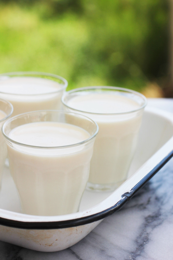 Kefir Panna Cotta // Autumn Makes & Does