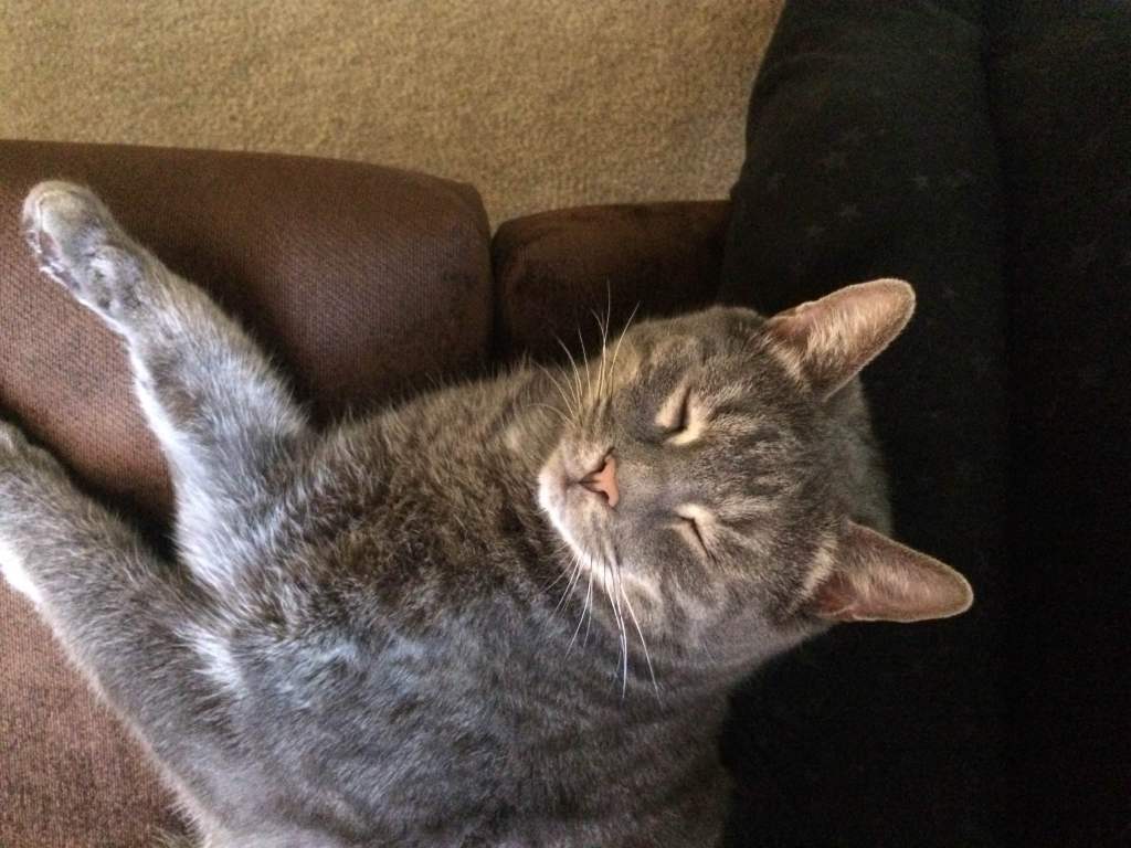 sweetie
